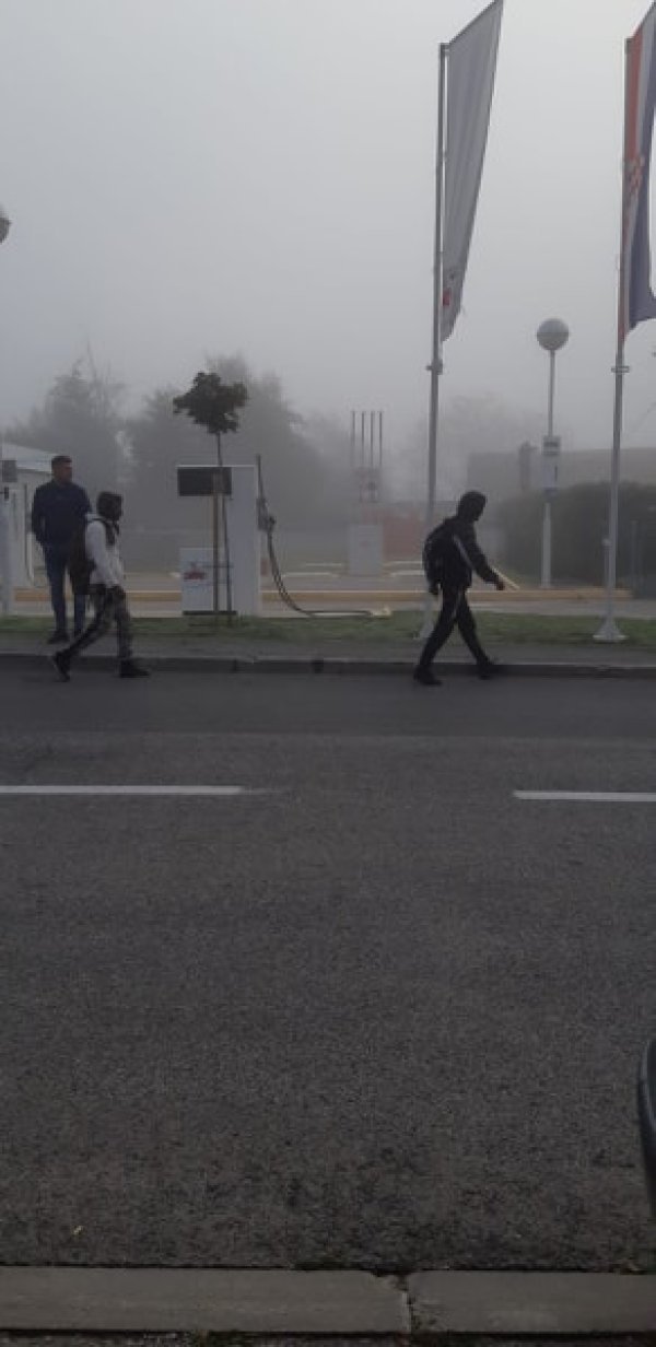 Migranti u Pokupskom