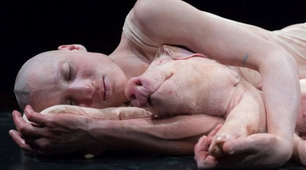 Betina Habjanič, Ljubavni čin: Pogrebni marš