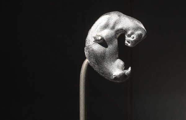 Ekstravagantna tijela: Ekstravagantna ljubav