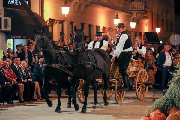 54. Vinkovačke jeseni