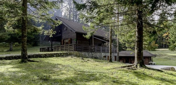 Medvedov panj, Ravna Gora