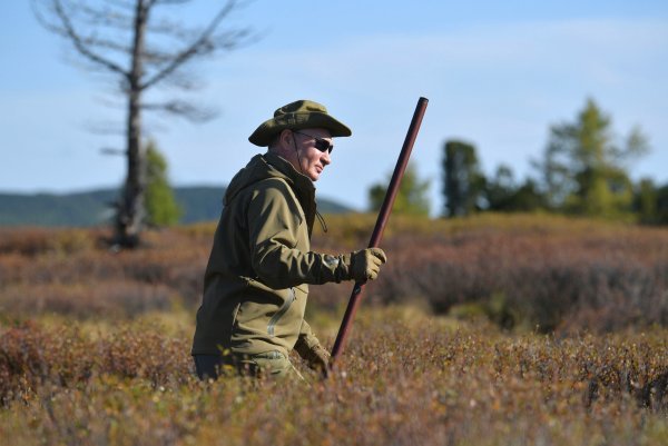 Vladimir Putin u divljini