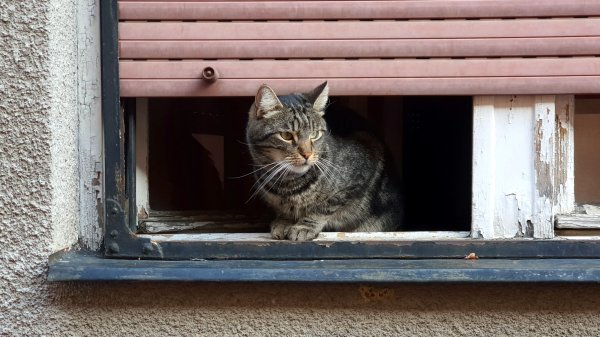 Samsung Galaxy Note10+ primjeri fotografija