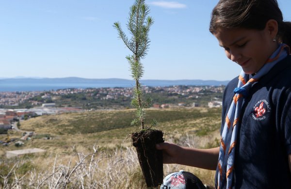 Boranka: Izviđači Zelene patrole Rajić s volonterima u pošumljavanju Mosora