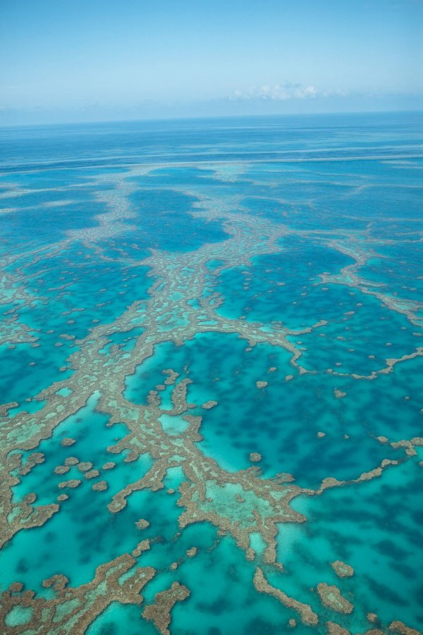 Australski Veliki koraljni greben jedna je od najljepših ronilačkih destinacija, ali ugrožava ga porast temperature oceana, zagađenje vode te ribolov. Promjene su, nažalost, već sada vidljive