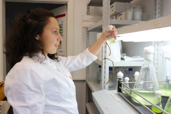 U laboratoriju na Rušeru izolirani su i identificirani hlapljivi i nehlapljivi spojevi s biotehnološkim potencijalom za primjenu u industriji