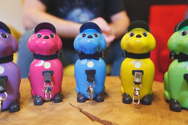 Walkee povodac za pse