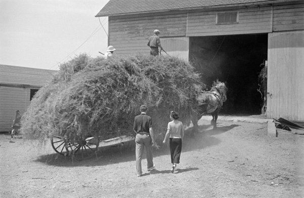 Jedan od okidača straha koji se 24. listopada 1929. na burzi pretvorio u paniku bila je situacija na tržištu žita