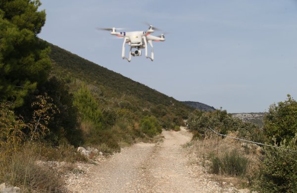 Bika Jerryja traže dronom