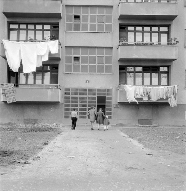 Mi i naš grad, 1959., serija, studija grada Zagreba