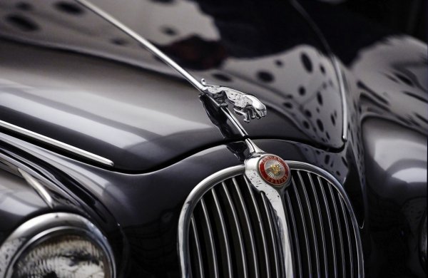 Jaguar ima povijest koja seže u 1935. godinu