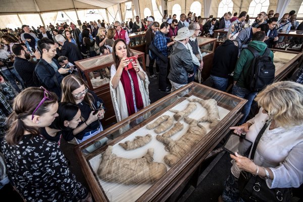 Pronađene mumificirane životinje u Sakari, drevnoj egipatskoj nekropoli blizu Kaira