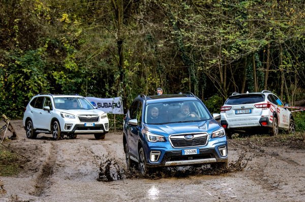 Subaru Forester e-Boxer na terenu