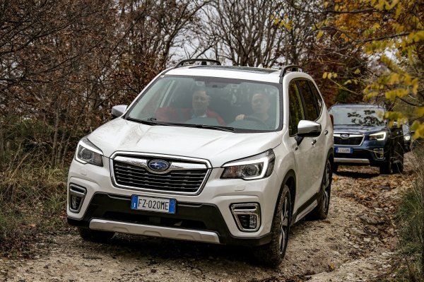 Subaru Forester e-Boxer - Off-road ( u vozilu su Edi Prodan iz Novog lista za volanom i Zdravko Juričko Lav iz Slobodne Dalmacije kao suvozač)