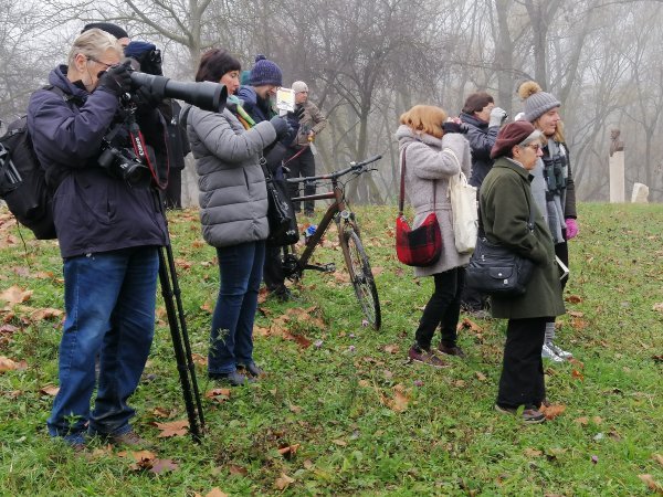 Promatranje prica na Bundeku