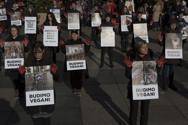 Zagreb: Performans Prijatelja životinja na Trgu bana Josipa Jelačića