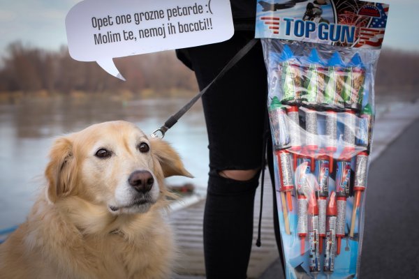 Počinje sezona pirotehnike, najstresnije razdoblje za kućne ljubimce