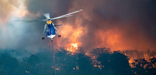U požarima koji haraju Australijom spaljeno je više od pet milijuna hektara