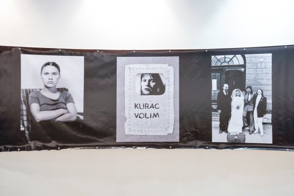 40 godina art ljubavi Vlaste Delimar