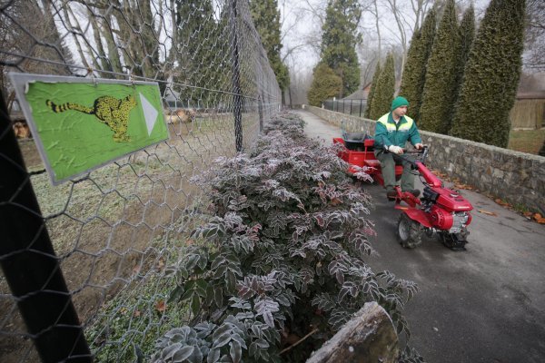 Strojevi ne miruju tijekom zime u osječkom ZOO vrtu, nastambe se proširuju, povećava se prostor za životinje