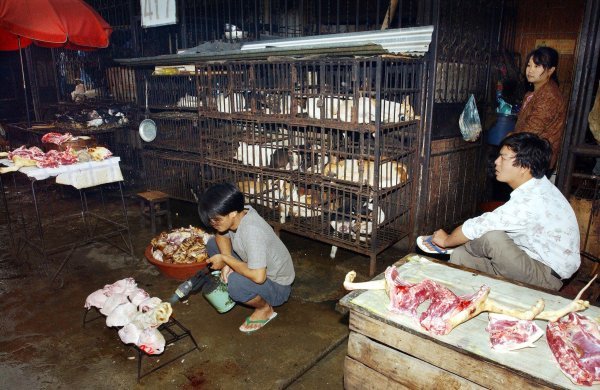 Kineske mokre tržnice