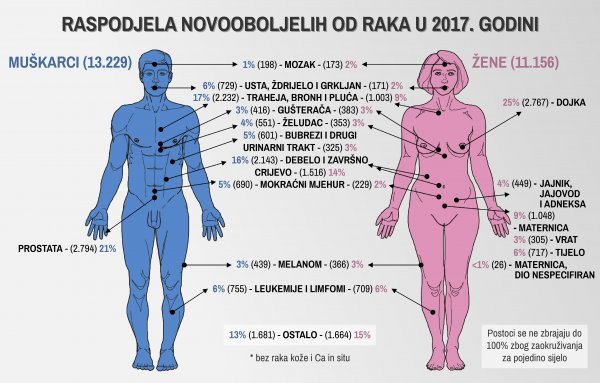 Raspodjela novooboljelih od raka prema sijelima u 2017. godini