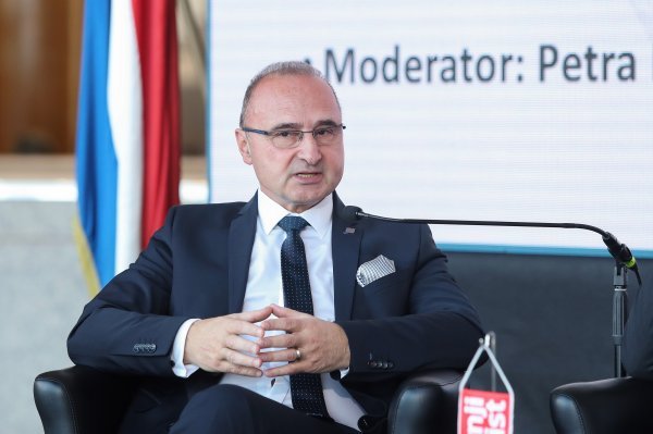 Gordan Grlić Radman