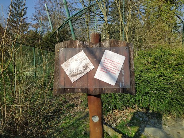 Nokia 7.2 - primjeri fotografija