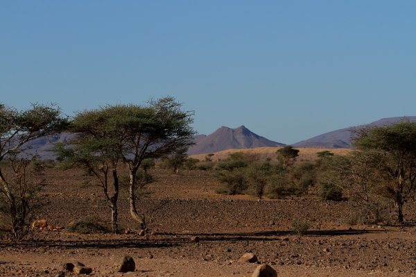 Sahara u vožnji brzo mijenja svoje lice, čak i na malim udaljenostima