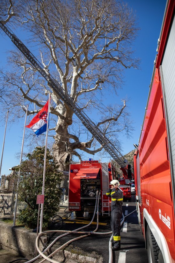 U Dubrovniku se zapalilo stablo staro 500 godina
