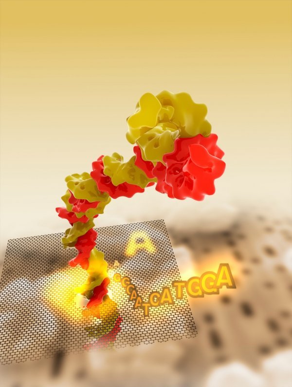 Sekvenciranje DNK u nanoporama donijelo bi revoluciju u personaliziranoj medicini