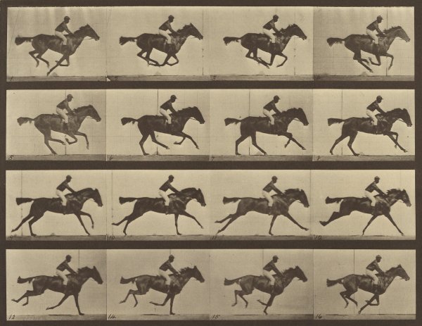 Eadweard Muybridge