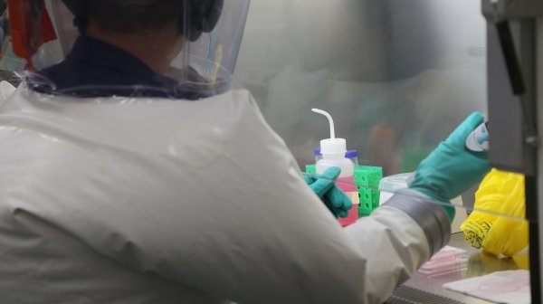 Na koronavirusu rade australski znansvenici u laboratoriju u Geelongu