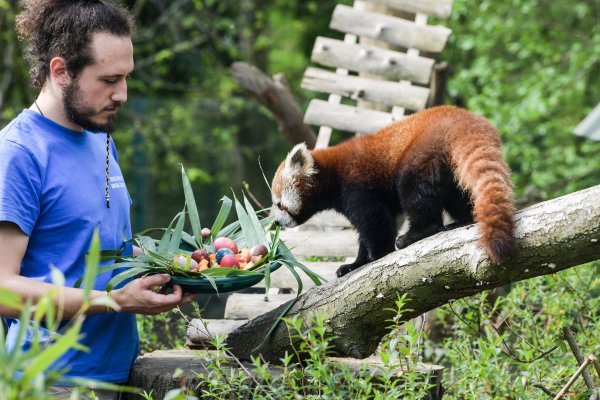 Na Uskrsni ponedjeljak ZOO vrt je svoje je stanovnike tradicionalno počastio sa pisanicama