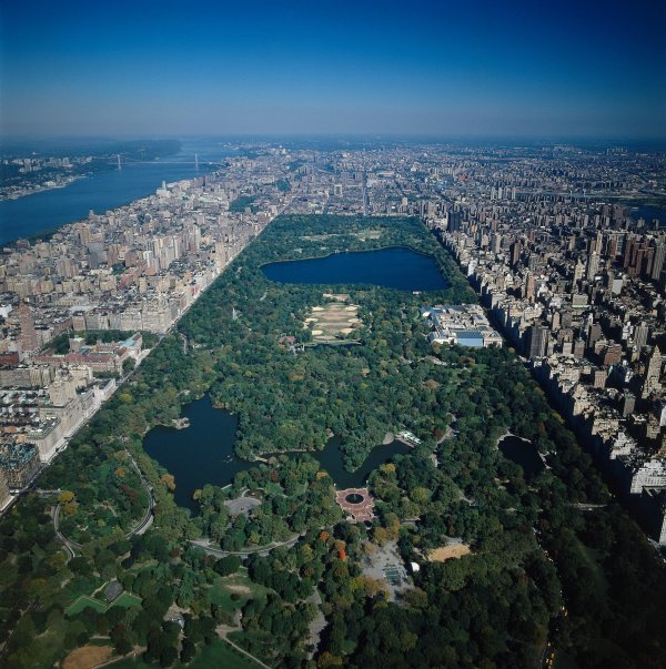 Njujorški Central park osmislio je sanitarni inspektor George E. Waring Jr., a koji je očistio grad od milijun tona konjskog izmeta i 250.000 litara urina dnevno