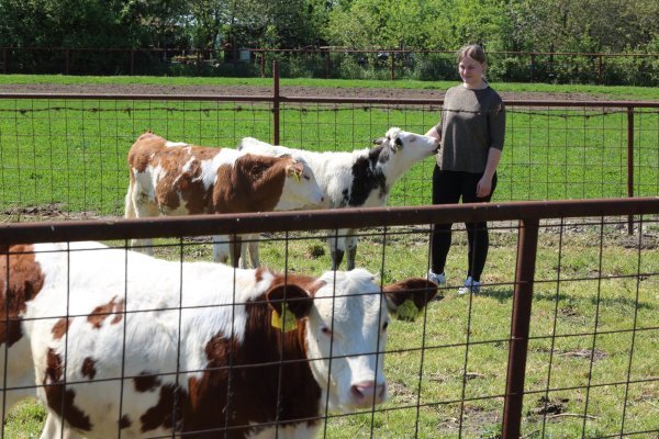 OPG Kruljac, Vladislavci