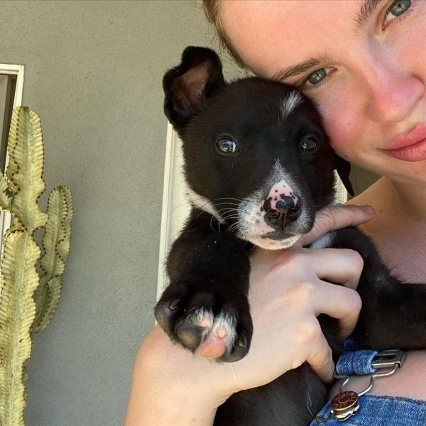 Ireland Baldwin