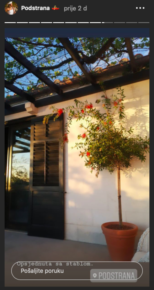 Ana Gruica Uglešić