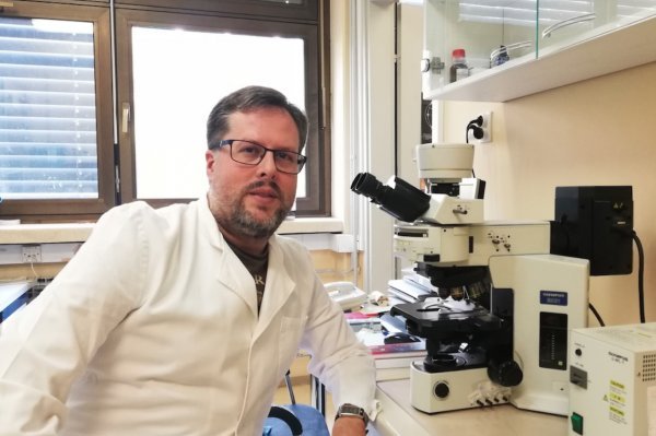 'Virusi se adaptiraju kako bi i dalje uspješno inficirali stanice domaćina i tako se replicirali', kaže Vjekoslav Tomaić