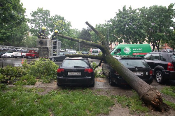 Nevrijeme srušilo stablo na automobile
