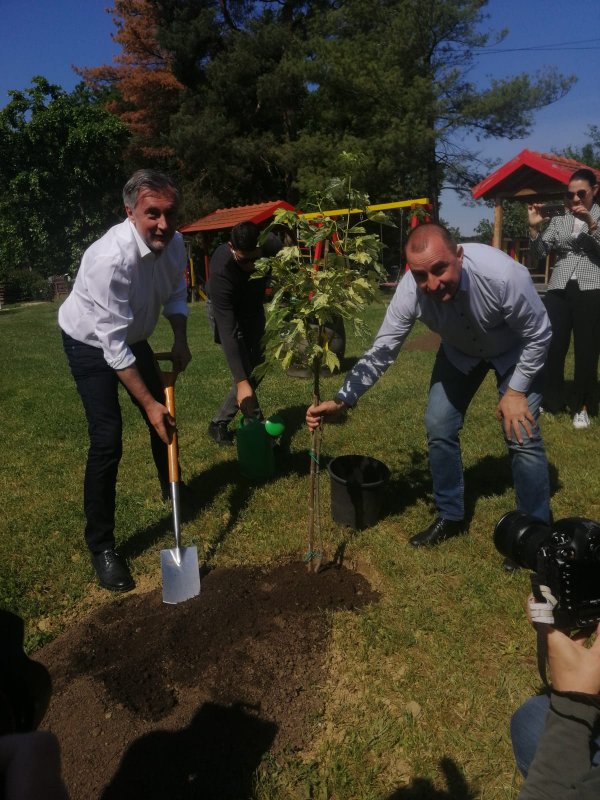 Miroslav Škoro i Nenad Matić sade stablo