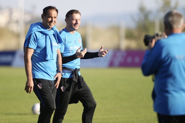 Ivica Olić i Dražen Ladić