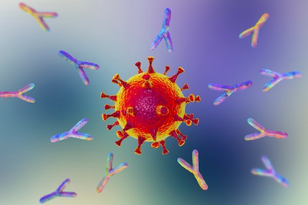Antitijela reagiraju na koronavirus koji izaziva COVID-19
