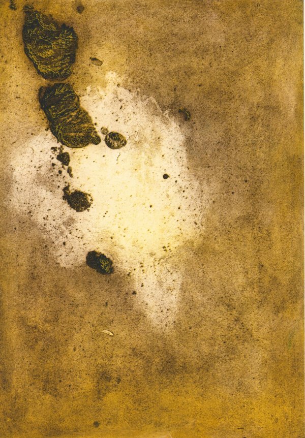 ‘Struktura mrlja’ Vide Meić