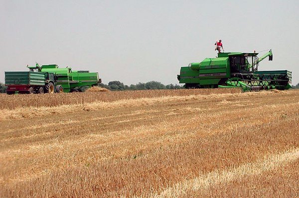 Prosječna cijena obradivog zemljišta u Hrvatskoj iznosi 2809 eura po hektaru