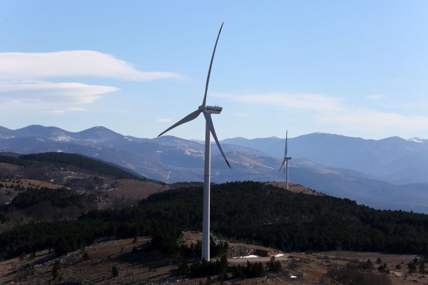 Kriminalci su tijekom godina uočili prilike i na zelenom tržištu