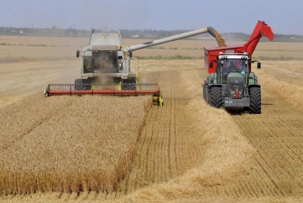 Brlošić se osvrnuo i na ovogodišnju žetvu jer su poljoprivrednici u istočnoj Slavoniji zabrinuti gdje će s pšenicom