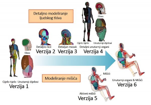 Evolucija THUMS-a