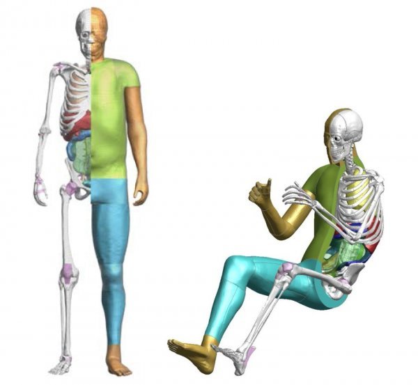 THUMS je prvi softver na svijetu za virtualni model ljudskog tijela pokrenut 2000. godine. 