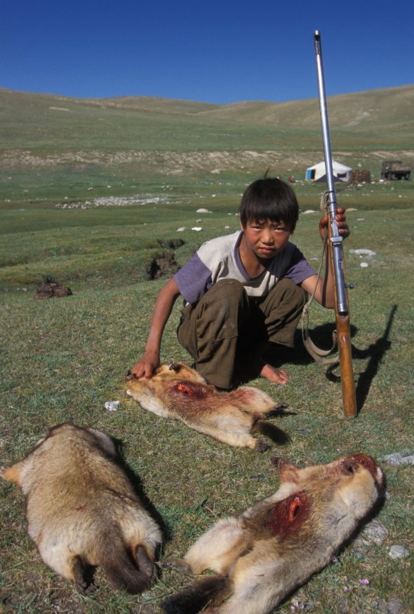 U Mongoliji rado love i jedu svisce